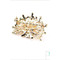 Phoenix-Top Grade Gorgeous Legierung Intarsien Diamant Brosche - Seite 4