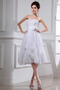 Glamourösen Tüll Natürliche Taille Sommer Lehnenlose Brautkleid - Seite 1