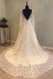 Fallen Natürliche Taille V-Ausschnitt Illusionshülsen Hochzeitskleid - Seite 3