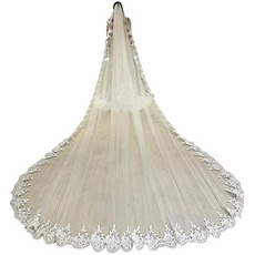 Kathedrale Spitze Applique Schleier exquisite und elegante Brautschleier Braut großen Schwanz Schleier 350CM